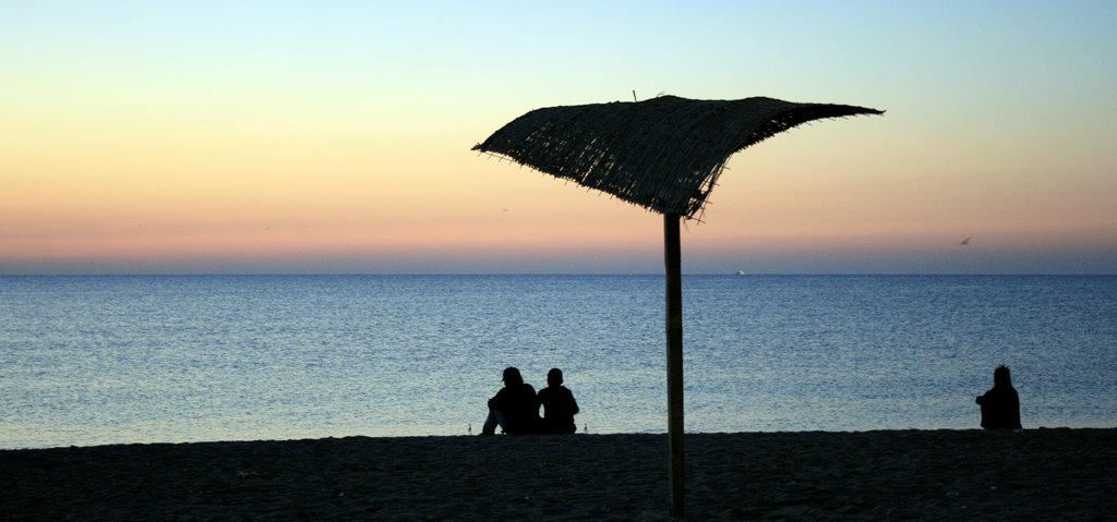 [IMG_1798mic.jpg]