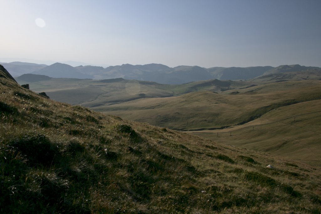 [IMG_2929.jpg]