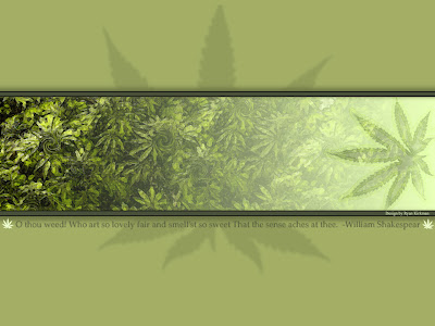 Hemp Wallpaper