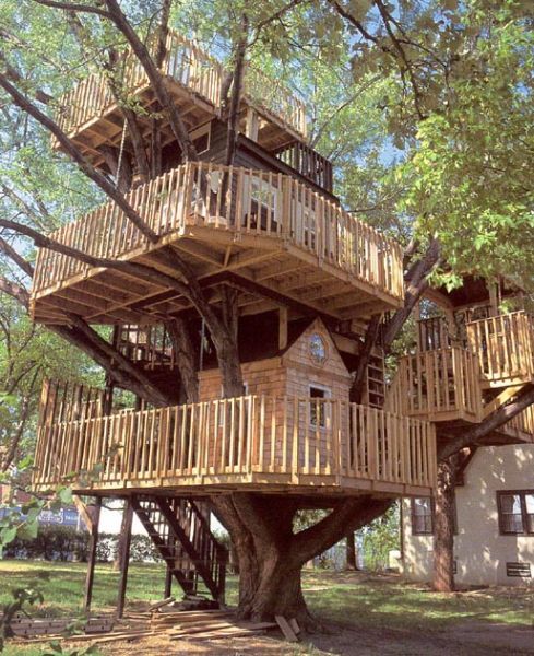 Rachael Caringella | Talk2TheTrees: My Dream House Rachael Caringella | Talk2TheTrees: My Dream House
