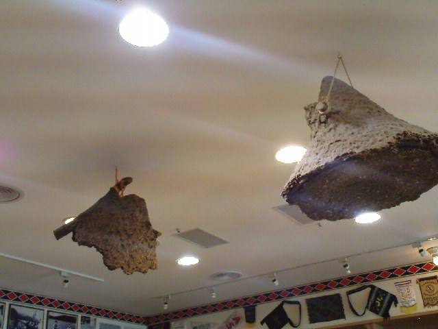 [DSC00386.JPG]