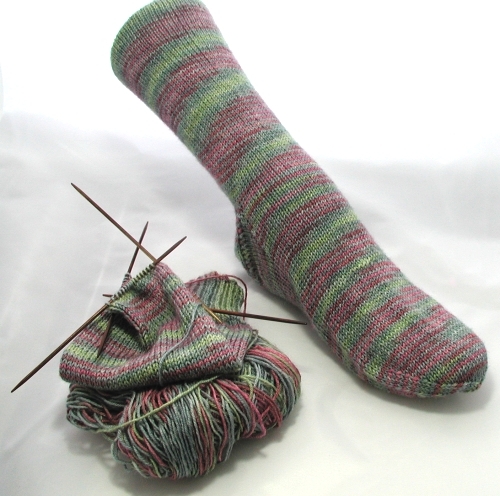 [rosewallsock.JPG]