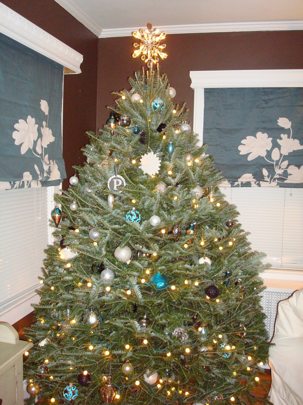 [christmas+006.JPG]
