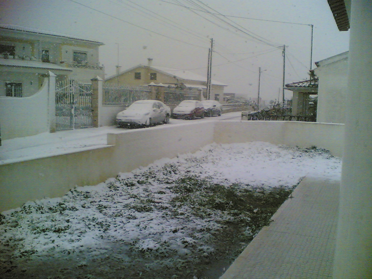 [neve+(2).jpg]