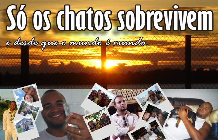 Só os chatos sobrevivem