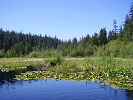 beaver lake