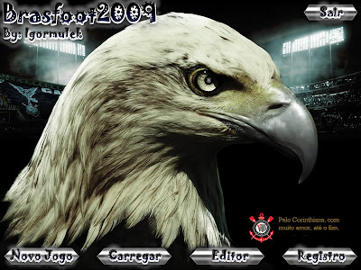 Download do brasfoot 2009 registrado com todas as ligas