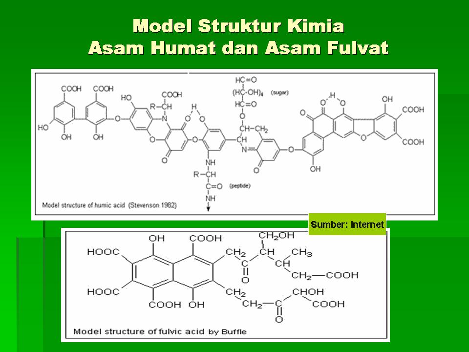 Dasar Dasar Ilmu Tanah 10 01 2010 11 01 2010
