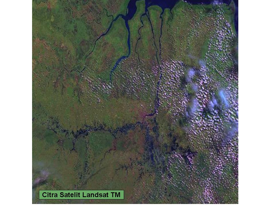 Software citra satellite landsat images