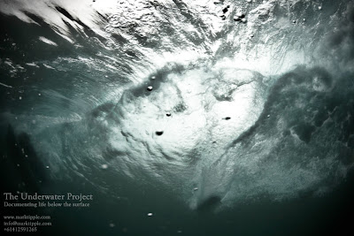photography news, underwater photography, mark tipple