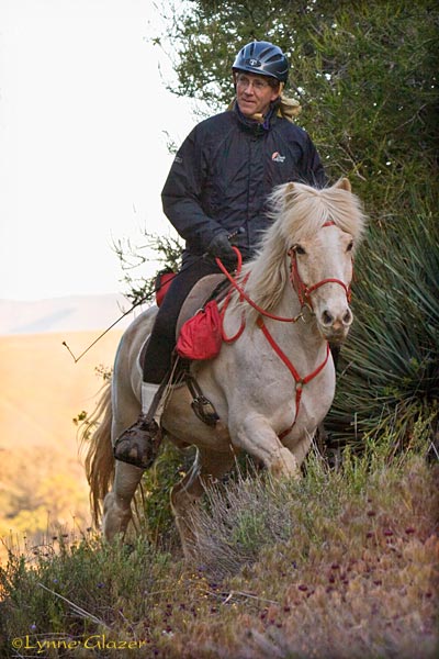 [johnparkeskjoldur.jpg]