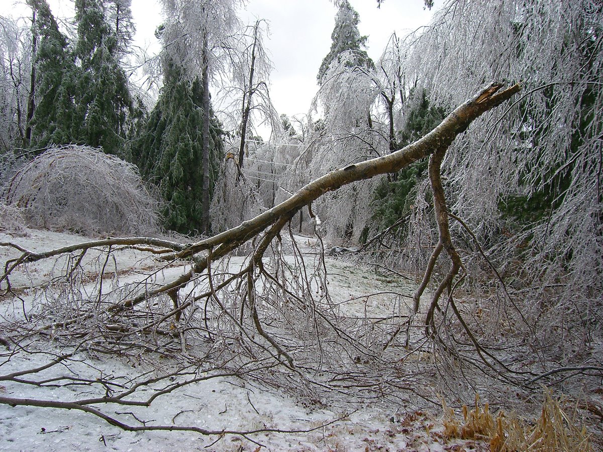 [ice06.jpg]