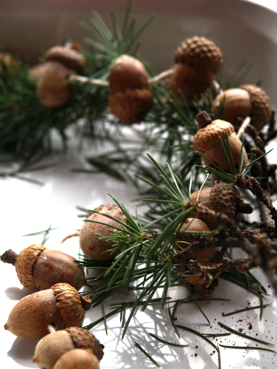 Let's make an Acorn Garland for the Christmas Tree. - The Magic Onions