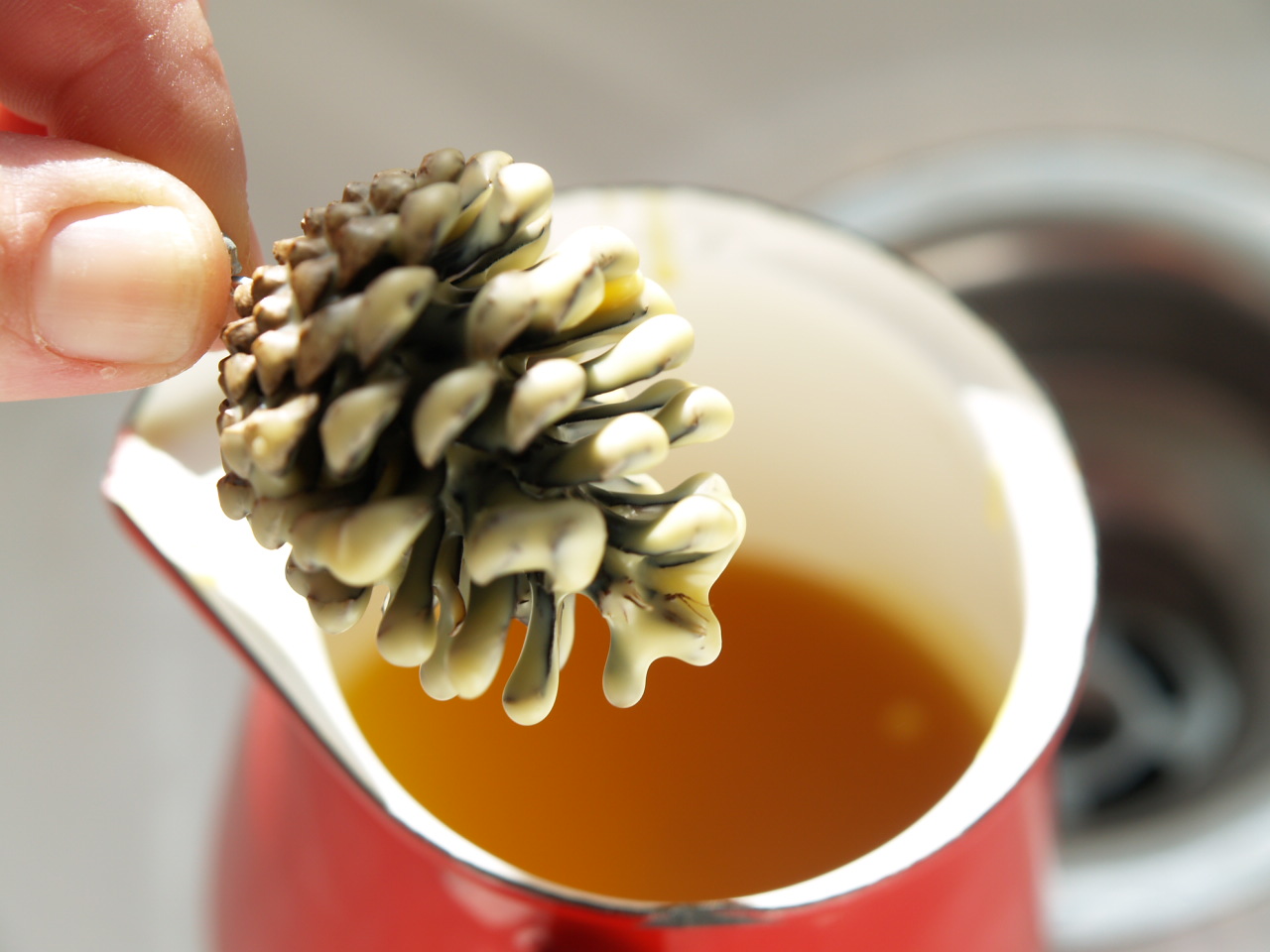 Natural Kids Kid Craft Waxdipped Pine Cone Ornaments.