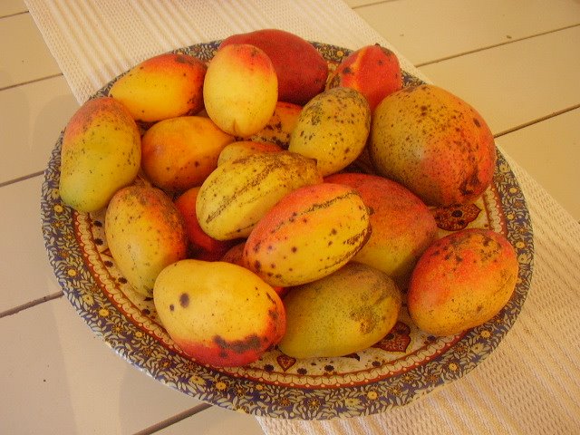 [PC260259.JPG]
