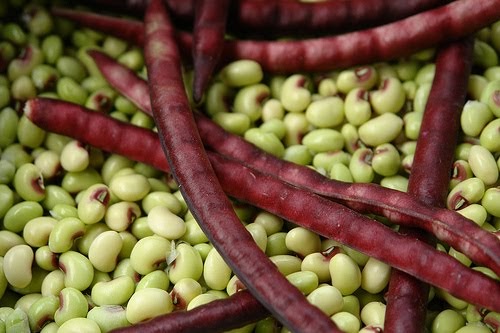 TennZen: Freezing and canning purple hull peas
