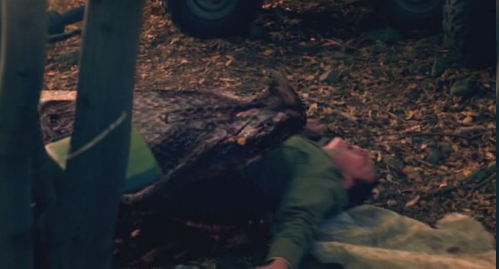 Mega Snake TV Movie 2007 - Plot Summary - IMDb