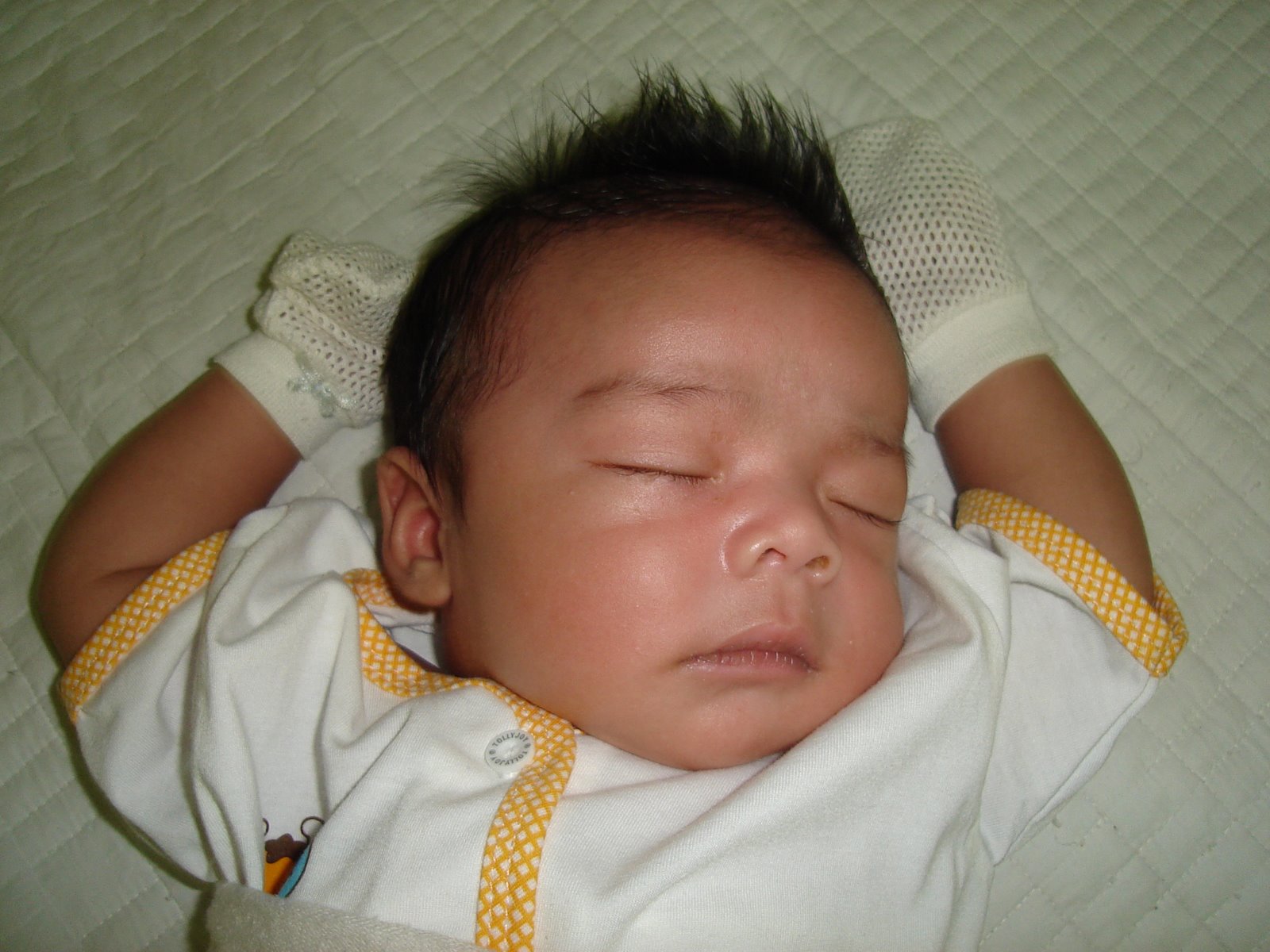 [DSC01102.JPG]