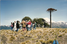 Cordillera Las Raíces.