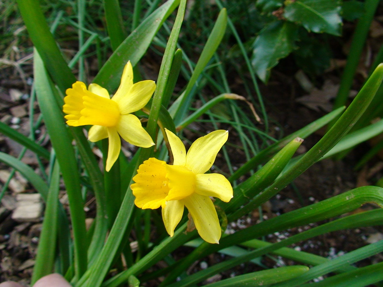 [DSC02560.JPG]