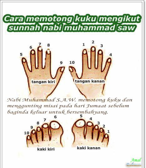 Potong Kuku