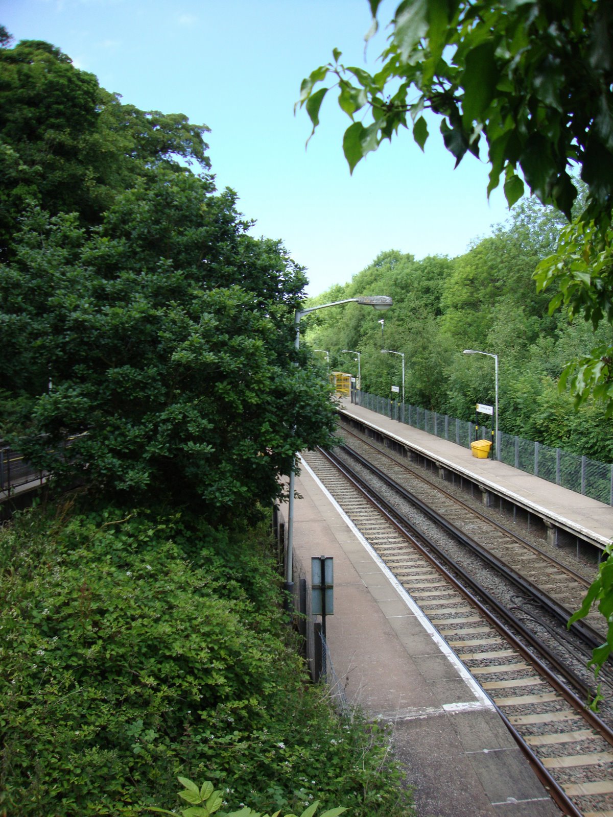 [DSC00101.JPG]
