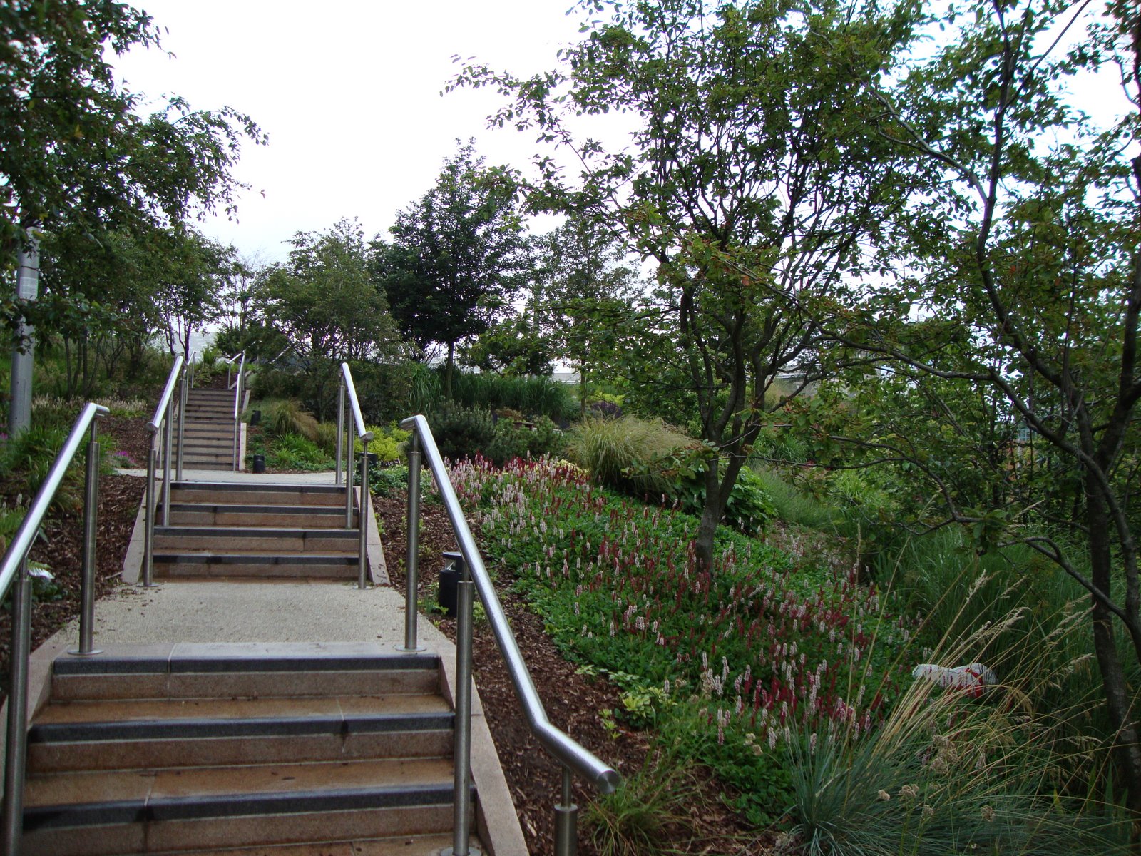 [DSC00143.JPG]