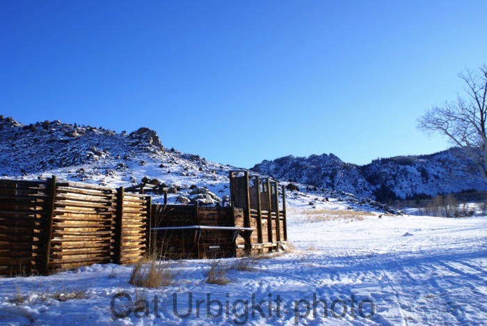 [DSC05214+copy+2.JPG]