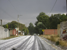 GRANIZO FEBRERO 2010