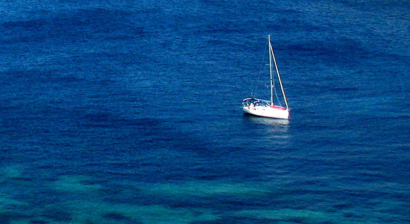 Paysages Et Fleurs Au Fil De L Eau La Mer Bleue Et Quelques Citations
