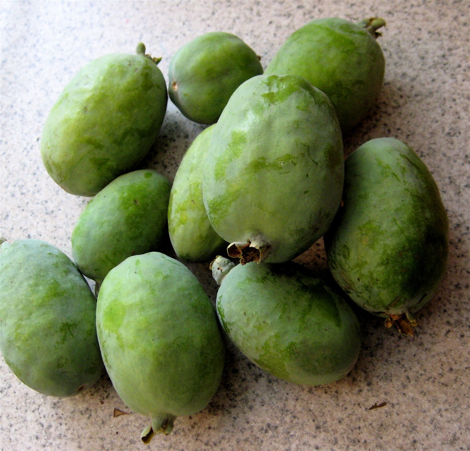 Las Aventuras Bush Pineapple Guava