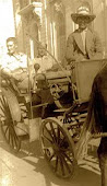 Tunis carriage ride