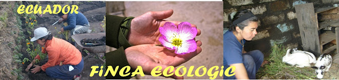 Finca Ecologic Ecuador