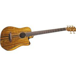 Acoustic Bass Fender