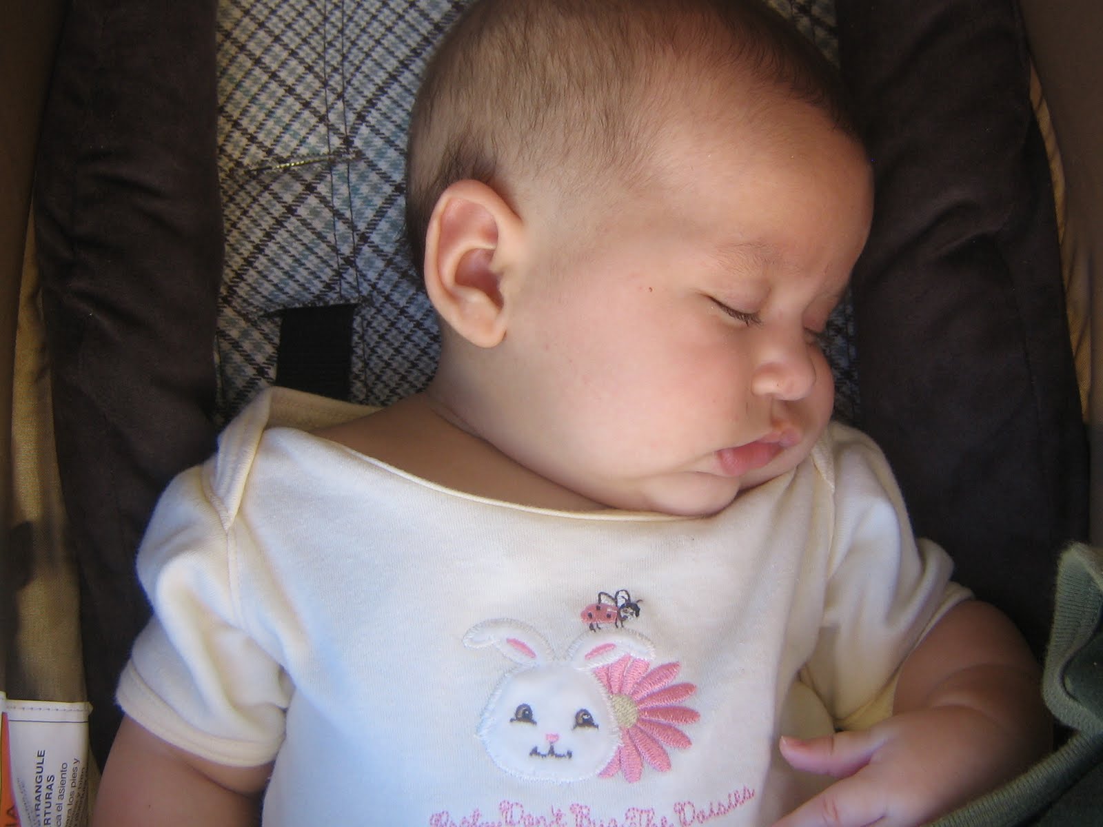 [IMG_2468.JPG]