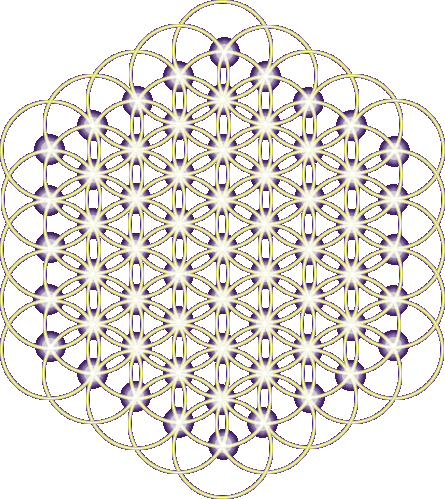 [Flower_of_Metatron.gif]