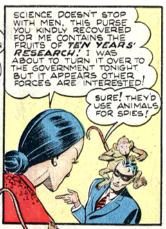 [midnight2_callout5.png]