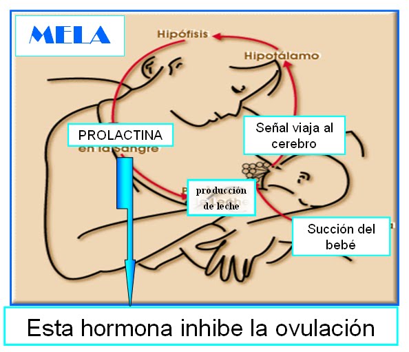El aumento del pecho implant 270 ml