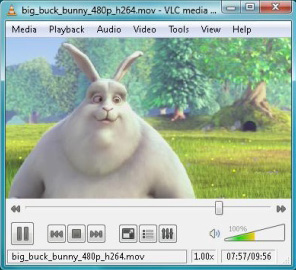 VLC Media Player