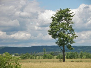 Carbon Salary Survey crunches the numbers.