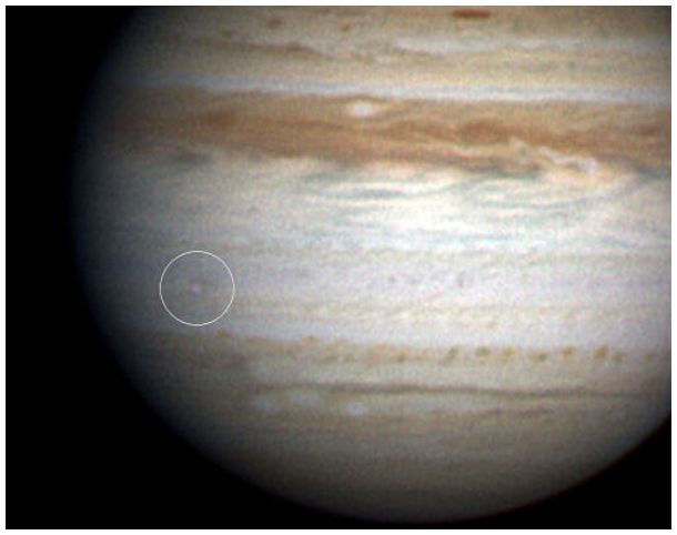 amateur adult webcams