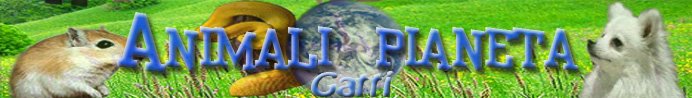 animalipianetagatti