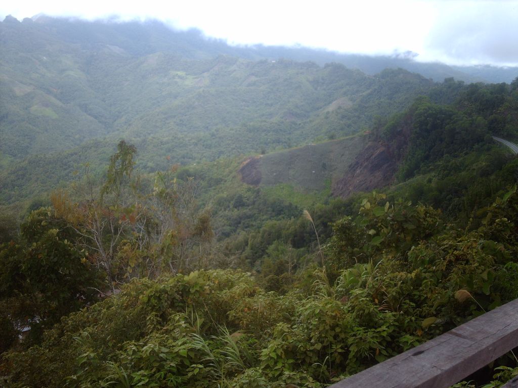 [PICT4223.JPG]