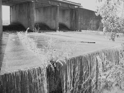Water Rush