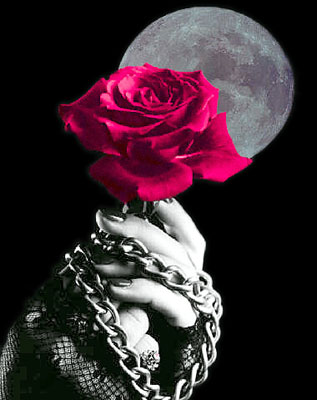 [la+luna+y+la+rosa1.jpg]