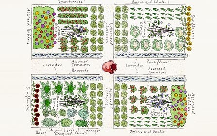seed savers garden planner seed savers garden planner