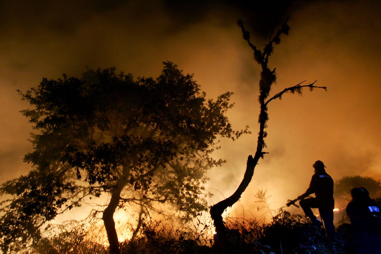 [incendio-forestal-2006-galici.jpg]
