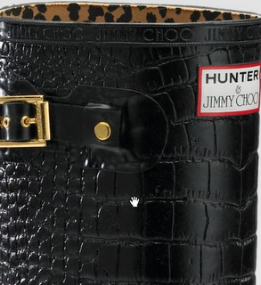 [Jimmy+Choo+for+Hunter+top.png]