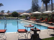 Poolside at the Colony Palms