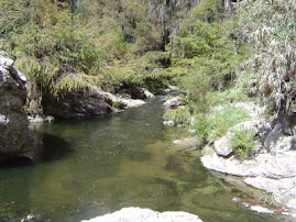 rio atoyac